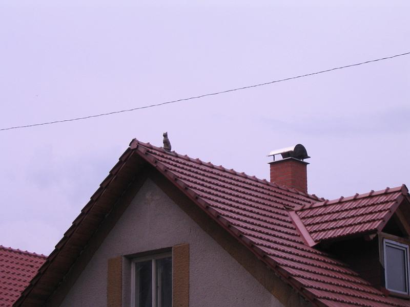 26 kočka na střeše.jpg